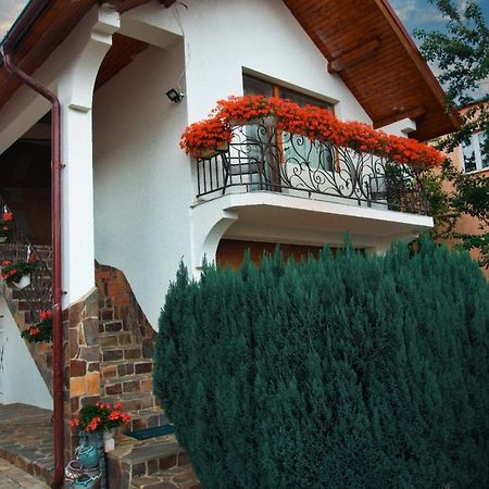 Ocna Şugatag Casa Adeヴィラ エクステリア 写真