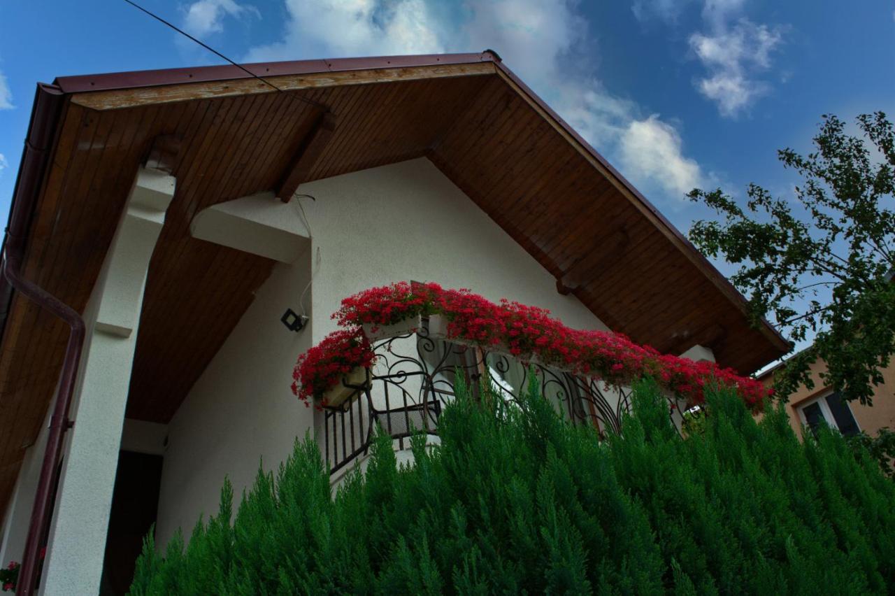 Ocna Şugatag Casa Adeヴィラ エクステリア 写真