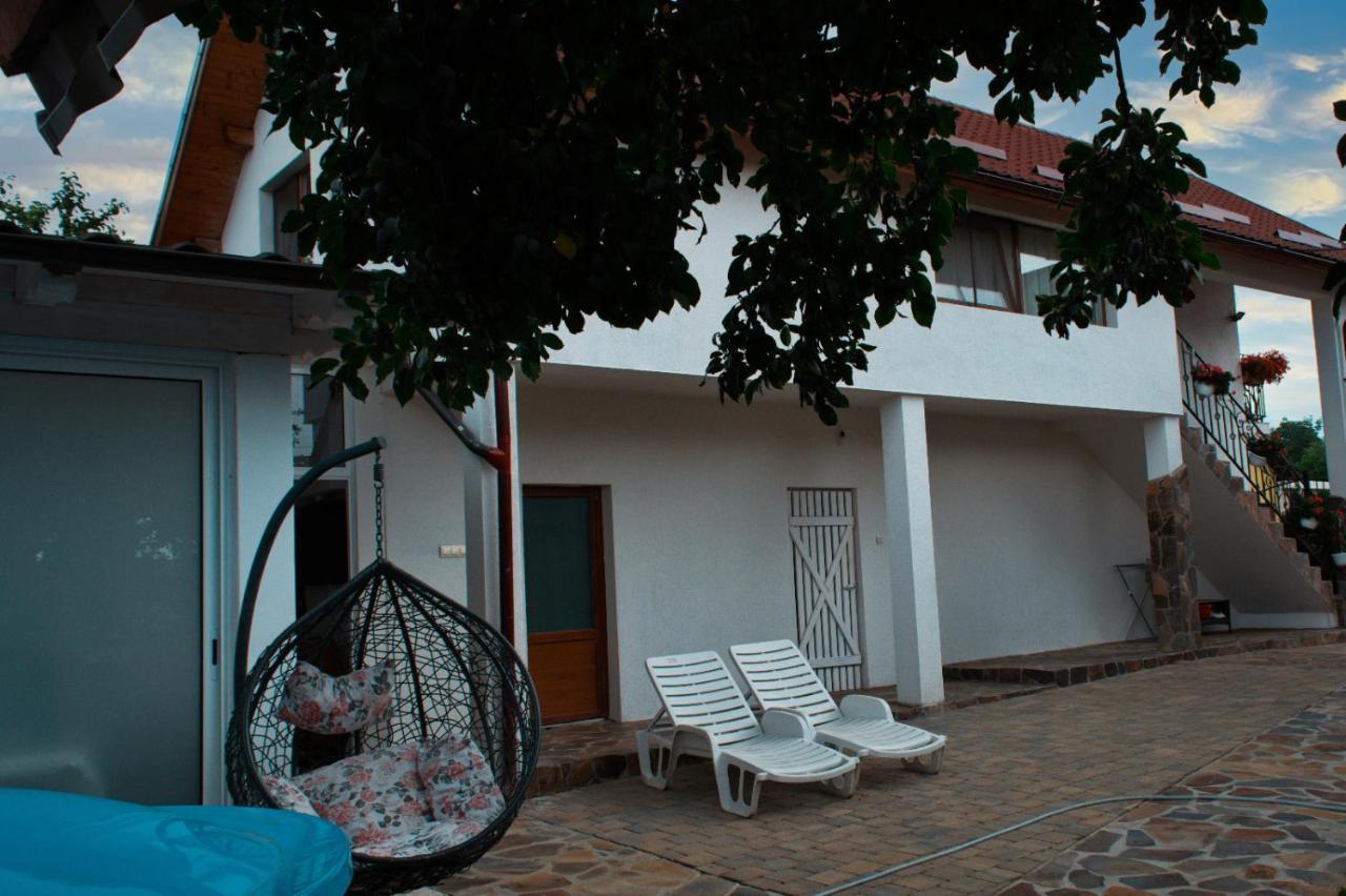 Ocna Şugatag Casa Adeヴィラ エクステリア 写真