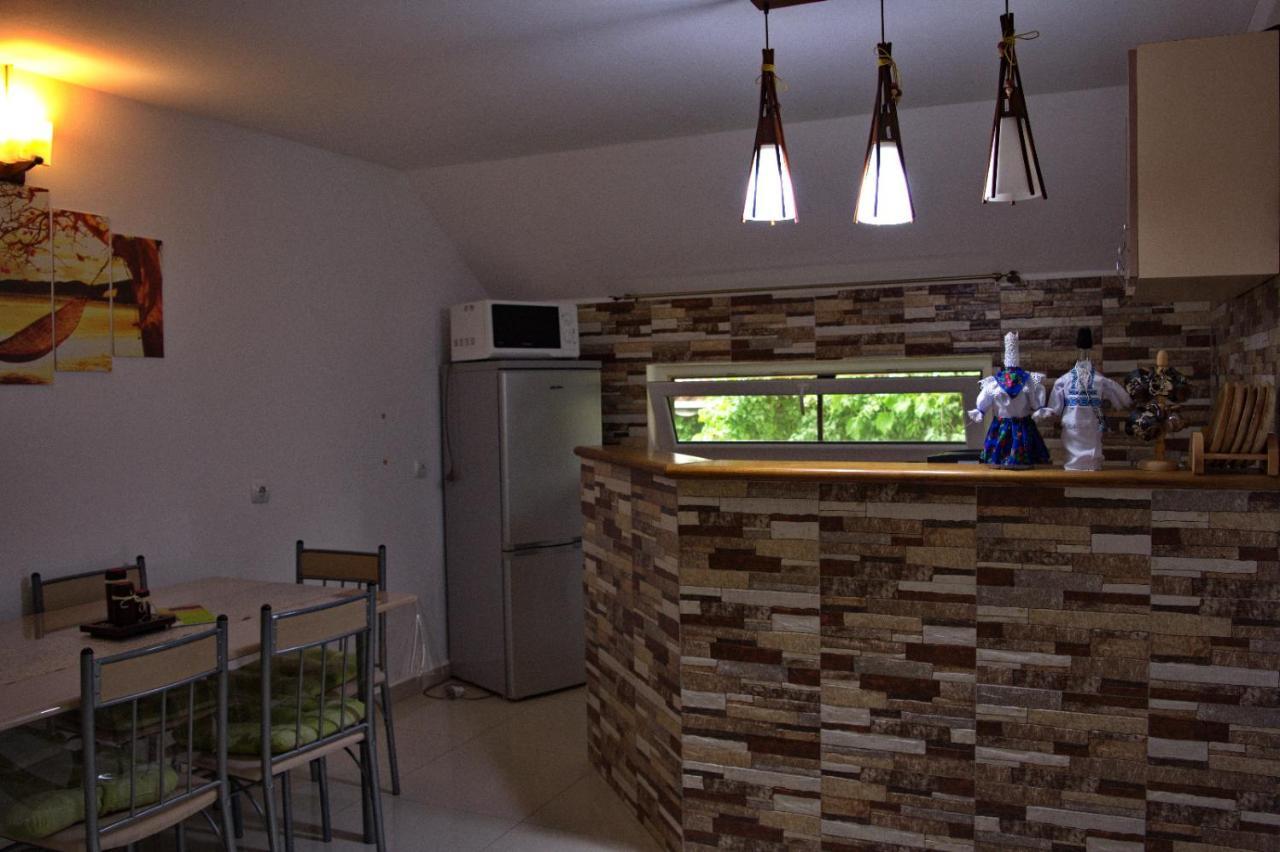 Ocna Şugatag Casa Adeヴィラ エクステリア 写真