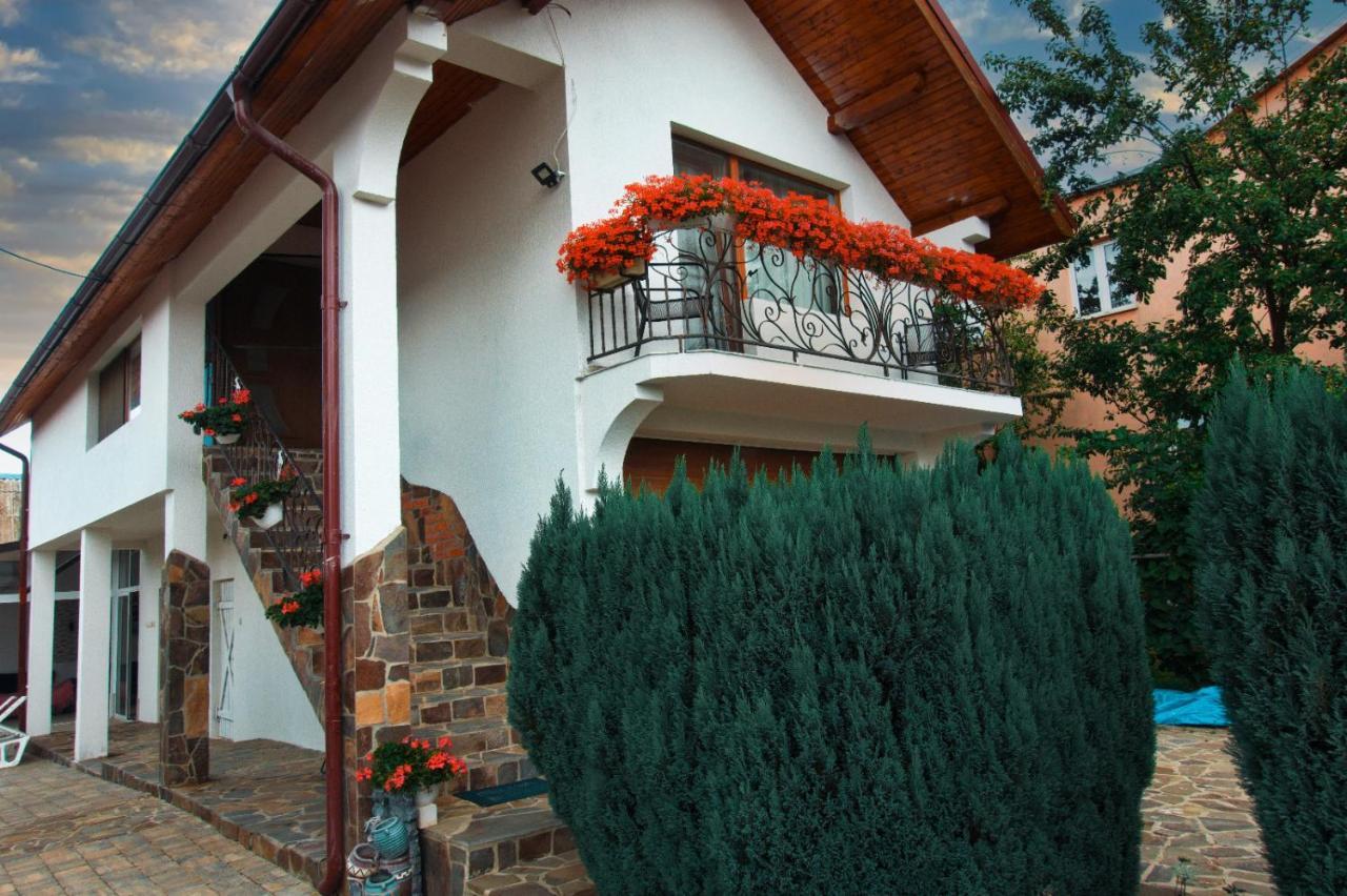 Ocna Şugatag Casa Adeヴィラ エクステリア 写真
