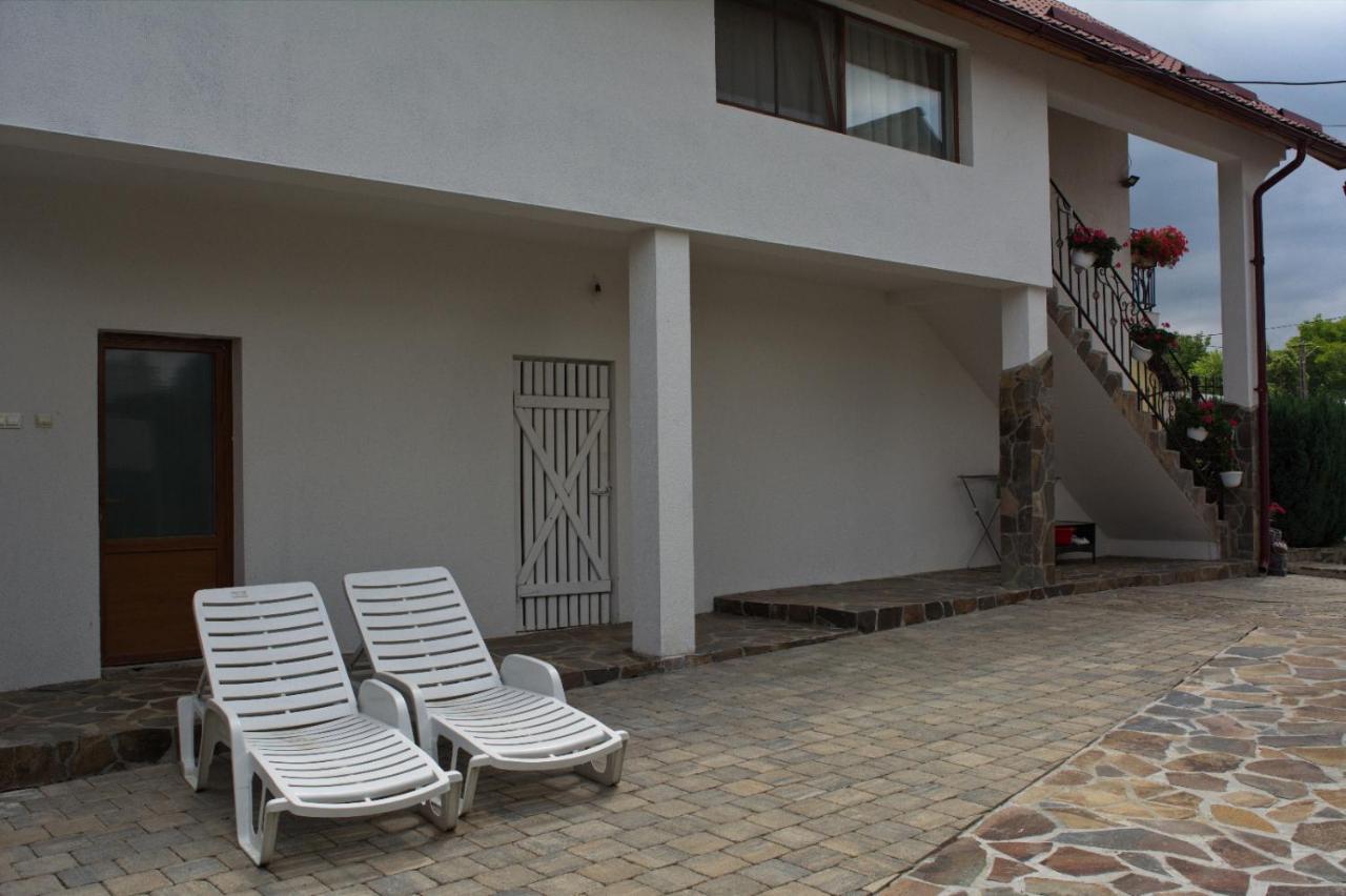 Ocna Şugatag Casa Adeヴィラ エクステリア 写真