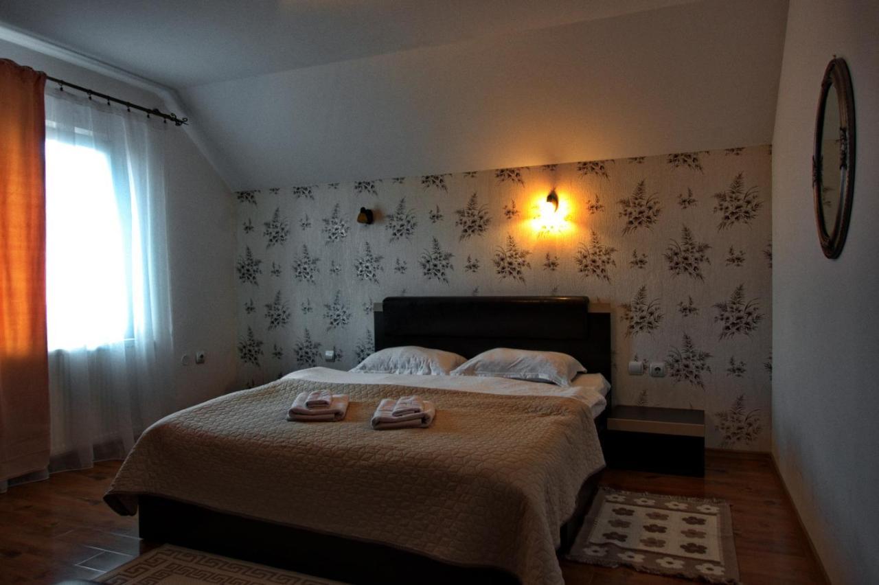 Ocna Şugatag Casa Adeヴィラ エクステリア 写真