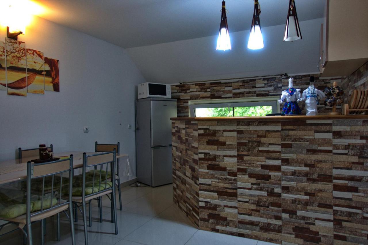 Ocna Şugatag Casa Adeヴィラ エクステリア 写真